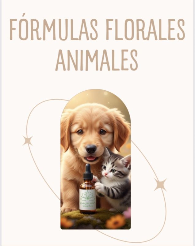 Miniatura de Enequilibrio_terapiafloral